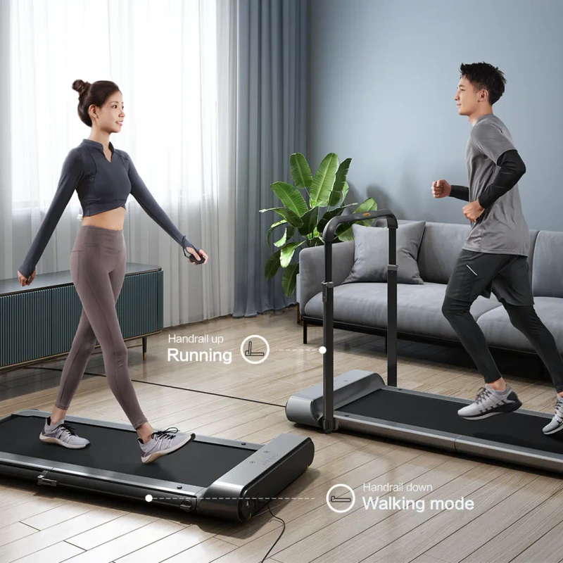 King Smith WalkingPad treadmill R1