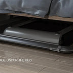 King Smith WalkingPad treadmill R1