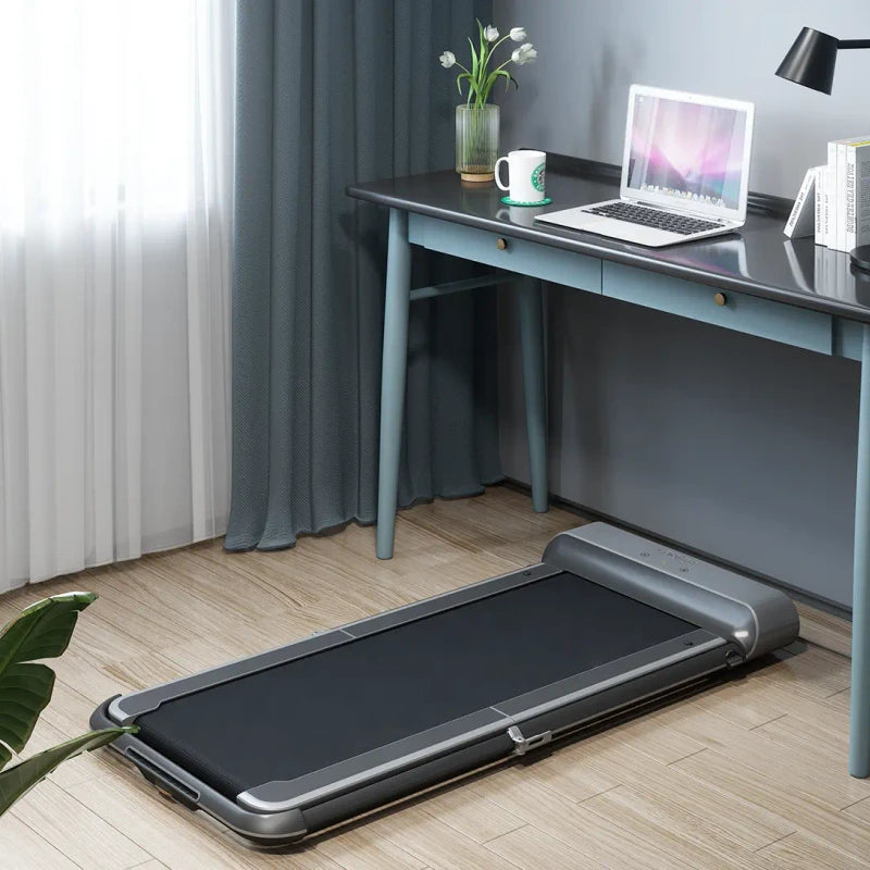 King Smith WalkingPad treadmill R1