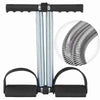 Double Spring Tummy Trimmer